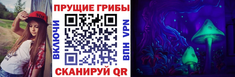 Галлюциногенные грибы Psilocybe  Юрьев-Польский 