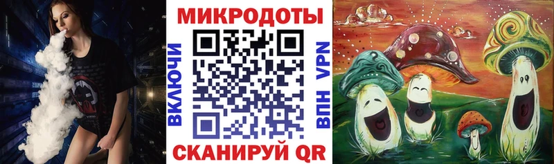 Псилоцибиновые грибы мухоморы Юрьев-Польский